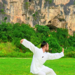 Basic Skills of Chinese Martial Arts (Hand Forms and Footwork)