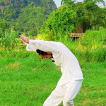 Yin-Yang Five Elements Qigong Course -Section 6 Crane Spreads Its Wings