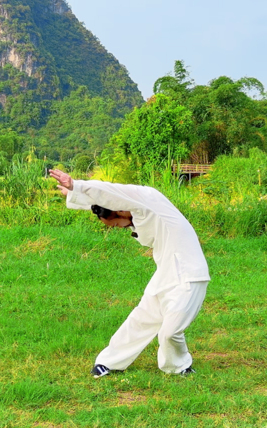 微信图片_20260906143230_105_2 Yin-Yang Five Elements Qigong Course -Section 6 Crane Spreads Its Wings - Image 1