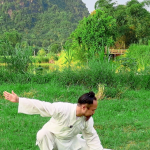 Yin-Yang Five Elements Qigong Course -Section 5 Golden Turtle Playing in Water
