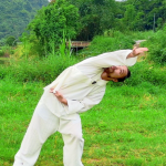 Yin-Yang Five Elements Qigong Course -Section 3 Golden Dragon Coiling Around the Pillar