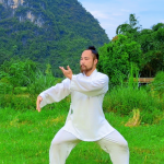 Hunyuan Zhuang Gong - Cloud Hands and Double Palm Push