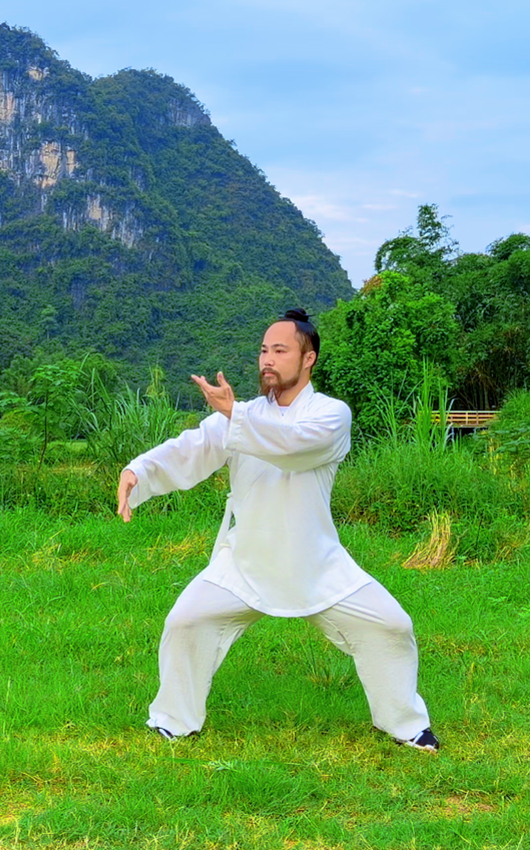 微信图片_20260906151356_124_2 Hunyuan Zhuang Gong - Cloud Hands and Double Palm Push - Image 1
